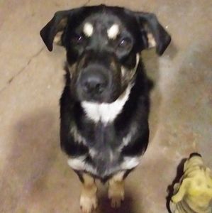 Meet your Posher, Kaitlin